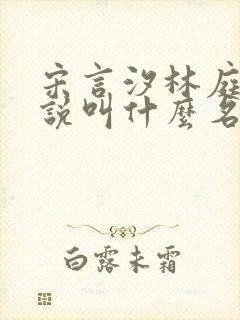 宋言汐林庭风小说叫什么名字