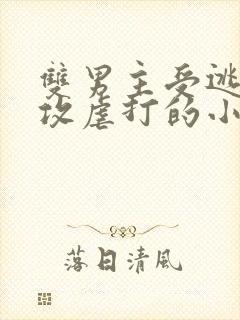 双男主受逃跑被攻虐打的小说