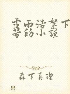 霍雨浩拿下寒若若的小说