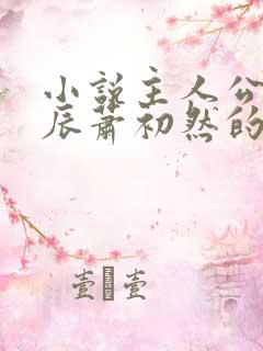 小说主人公叫叶辰萧初然的小说名