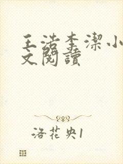 王浩李洁小说全文阅读