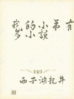 我的小弟有亿点多小说