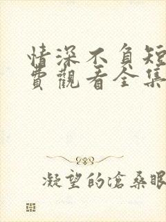 情深不负短剧免费观看全集高清