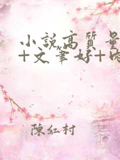 小说高质量言情+文笔好+肉