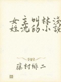 女主叫林浅男主姓沈的小说