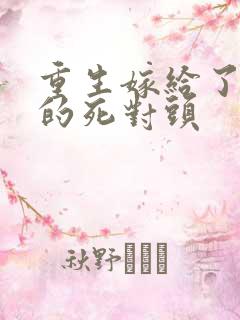 重生嫁给了渣男的死对头