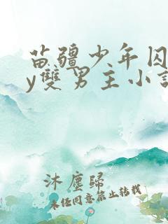 苗疆少年囚禁by双男主小说