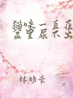 猫咪一直在猫砂盆里尿不出来