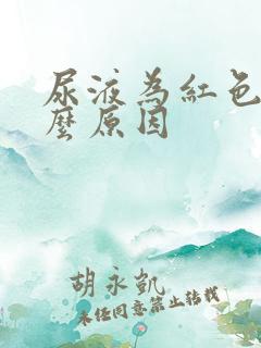 尿液为红色是什么原因