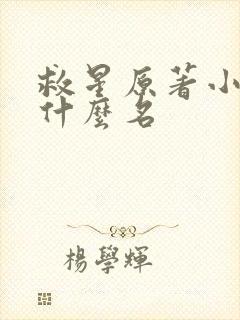 救星原著小说叫什么名