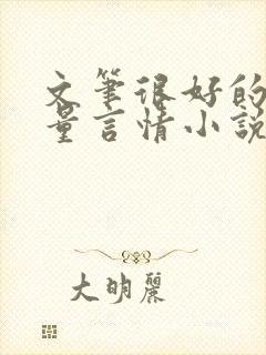 文笔很好的高质量言情小说