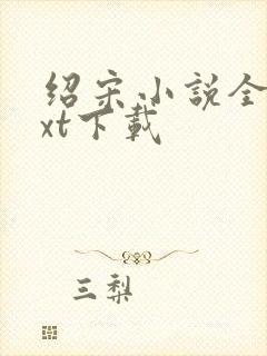 绍宋小说全集txt下载