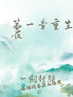 第一章重生新婚夜