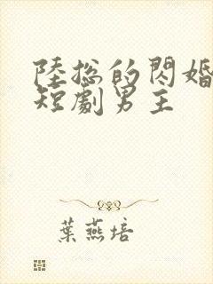 陆总的闪婚甜妻短剧男主