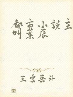 都市小说主人公叫叶辰