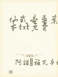 仙武帝尊叶辰全本txt免费