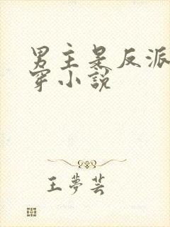 男主是反派的快穿小说