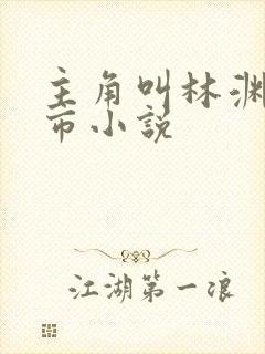 主角叫林渊的都市小说