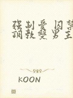 强制爱 囚禁 调教双男主