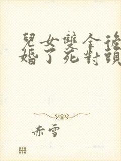 儿女双全后我闪婚了死对头总裁