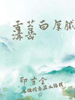 舌苔白厚腻中有沟齿