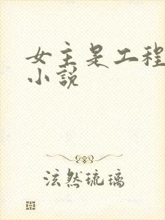 女主是工程师的小说