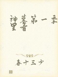 神墓第一季在哪里看