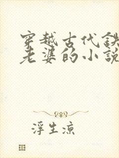 穿越古代铁匠选老婆的小说