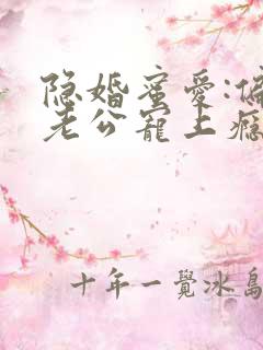 隐婚蜜爱:偏执老公宠上瘾完整版