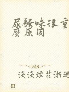 尿骚味很重是什么原因