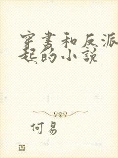 穿书和反派在一起的小说