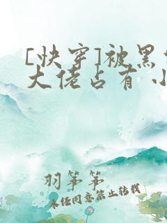 [快穿]被黑化大佬占有 小说