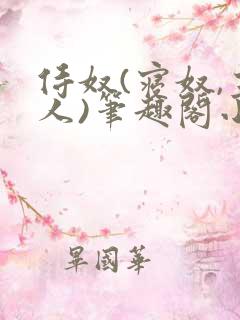 侍奴(寝奴,主人)笔趣阁小说双男主