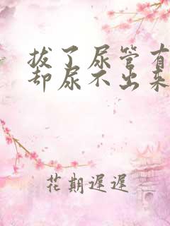 拔了尿管有尿意却尿不出来