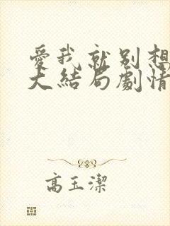 爱我就别想太多大结局剧情