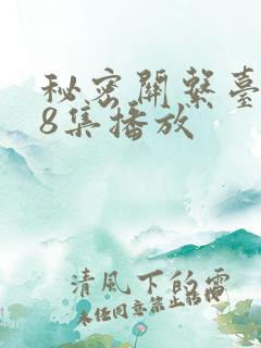 秘密关系台剧第8集播放
