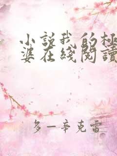 小说我的极品老婆在线阅读全文