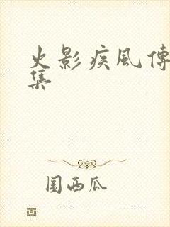 火影疾风传多少集