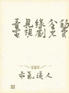 看见缘分的少女电视剧免费观看全集