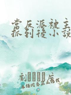 当反派被主角们抓到后小说