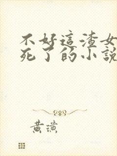 不好这渣女要虐死了的小说