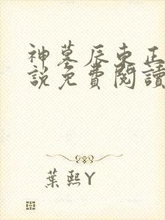 神墓辰东正版小说免费阅读
