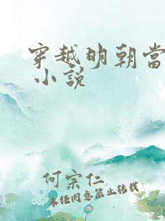 穿越明朝当暴君 小说