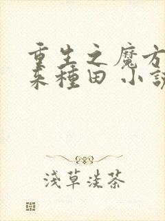 重生之魔方空间来种田 小说