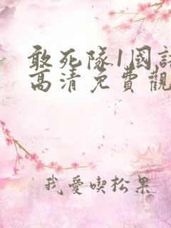 敢死队1国语版高清免费观看