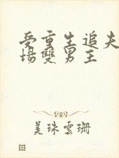 受重生追夫火葬场双男主