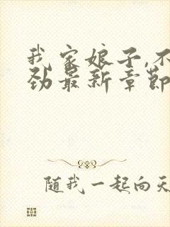 我家娘子,不对劲最新章节无弹窗