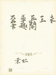 至尊兵王未删节笔趣阁
