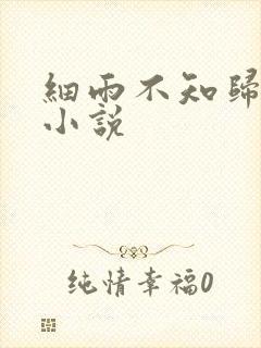 细雨不知归原著小说