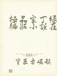 极品家丁绿帽改编版小说在哪里看